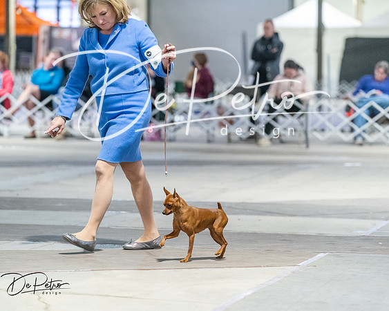 20260328-DSC08721