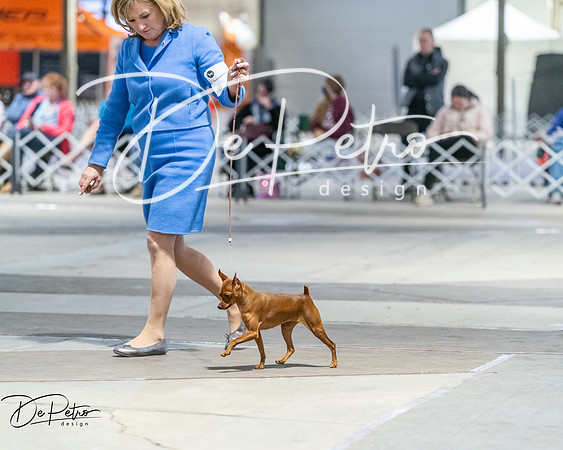 20260328-DSC08725