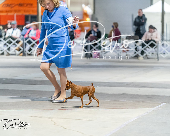 20260328-DSC08728