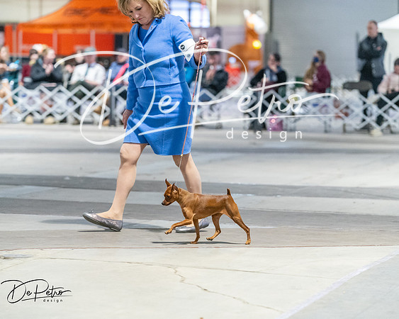 20260328-DSC08731