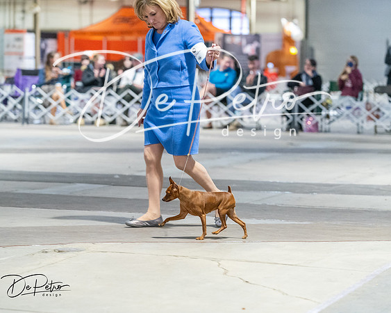 20260328-DSC08734