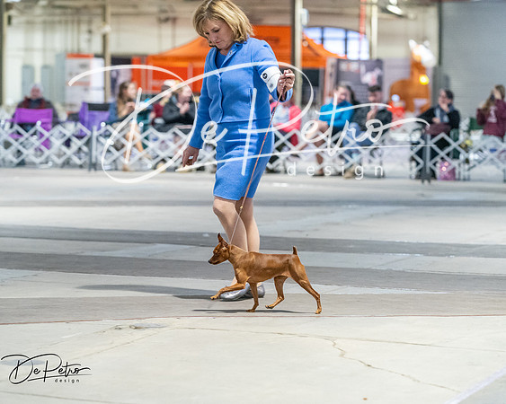 20260328-DSC08737