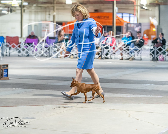 20260328-DSC08740