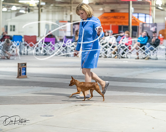 20260328-DSC08743