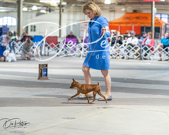 20260328-DSC08746