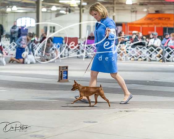 20260328-DSC08749