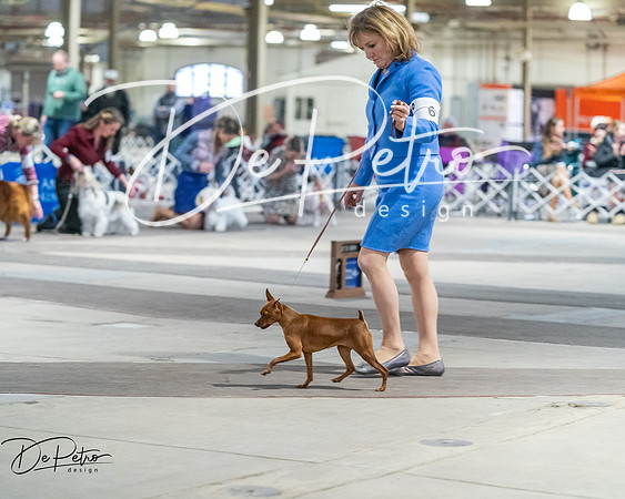 20260328-DSC08754