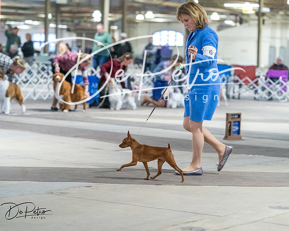 20260328-DSC08760