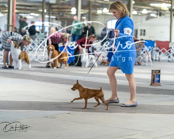 20260328-DSC08762