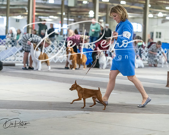 20260328-DSC08765
