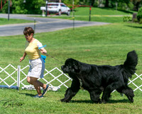 20250629-DSC09674