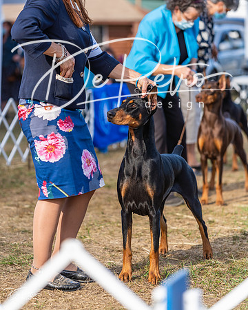 20200912-DSC04749