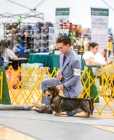20260424-DSC02419