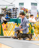 20260424-DSC02417