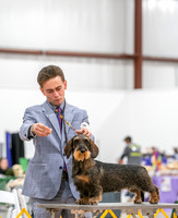 20260424-DSC02448