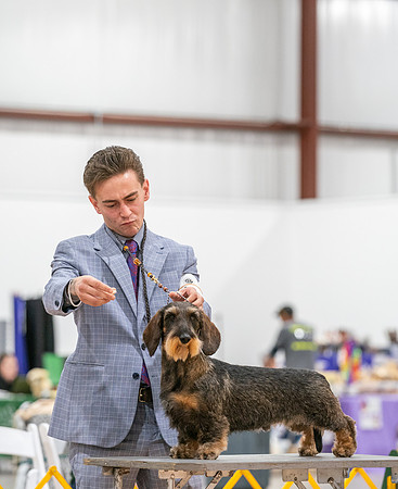 20260424-DSC02448