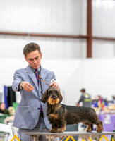 20260424-DSC02450