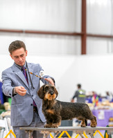 20260424-DSC02455