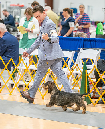 20260424-DSC02482