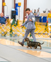 20260424-DSC02502