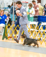 20260424-DSC02489