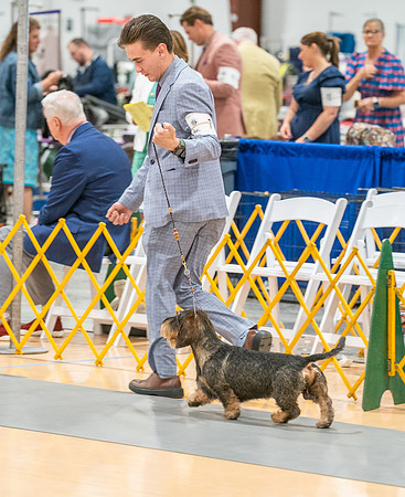 20260424-DSC02485