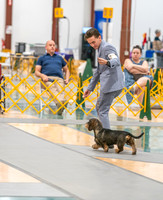 20260424-DSC02509
