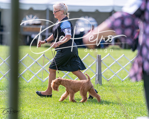 20240630-DSC03776