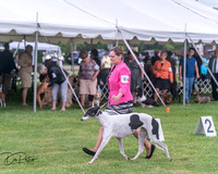 20250626-DSC04372