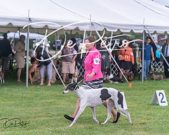 20250626-DSC04372