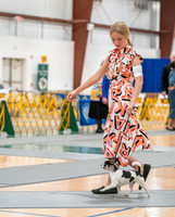 20260424-DSC01823