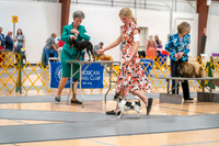 20260424-DSC01855