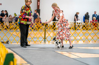 20260424-DSC01865