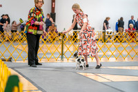 20260424-DSC01866