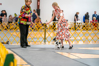 20260424-DSC01867