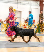 20260423-DSC09572