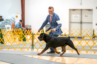 20260422-DSC09055