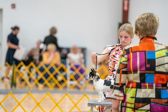 20260424-DSC01791