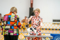 20260424-DSC01798