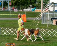 20240913-DSC00028