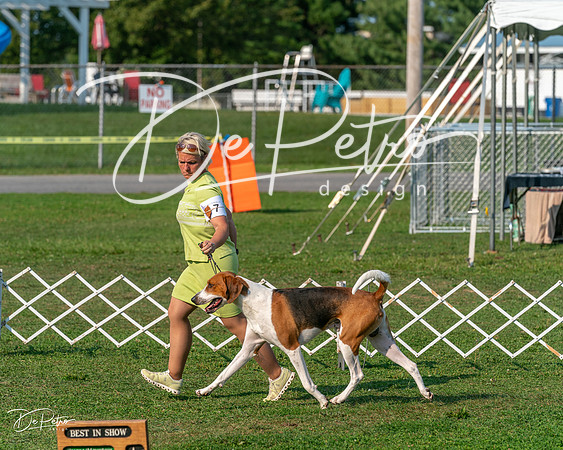 20240913-DSC00028