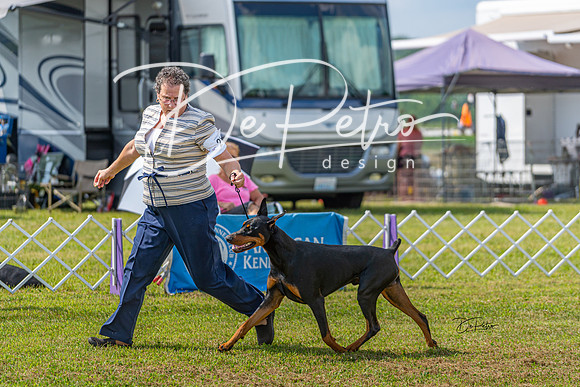 20190803-DSC02660-Edit