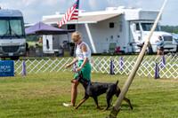 20190803-DSC02625