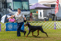 20190803-DSC02658