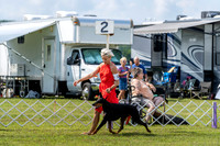 20190803-DSC02653
