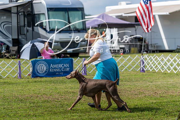 20190803-DSC02605