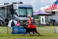 20190803-DSC02648