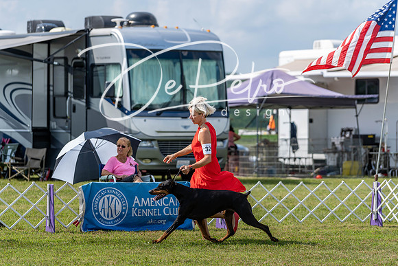20190803-DSC02648
