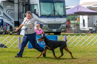 20190803-DSC02660