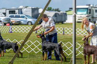 20190803-DSC02678